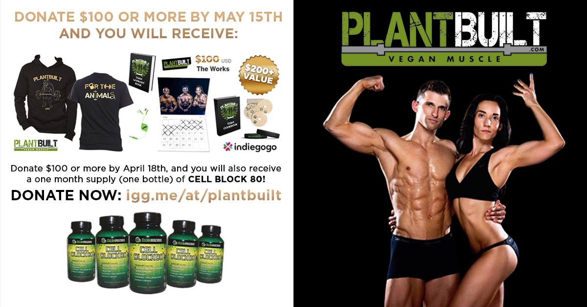 Competing for the Animals with PlantBuilt | Lindsay Morgan Yoga